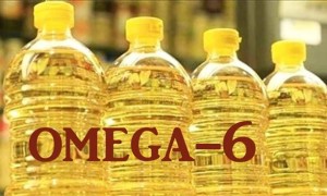 Omega-6启示录