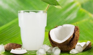基孔肯雅热的6种自然家庭疗法，很多人都不知道