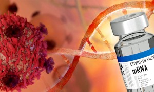 两项大型研究：新冠疫苗会导致癌症吗？
