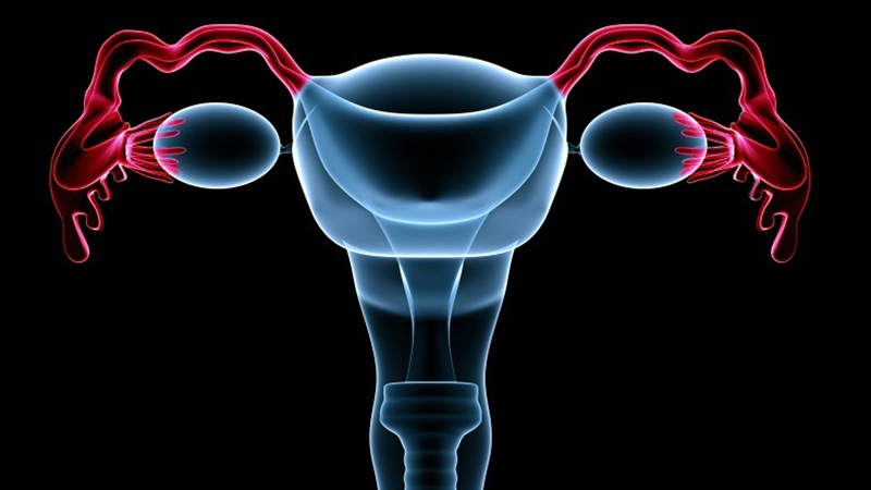 输卵管堵塞吃什么药可以自然疏通输卵管